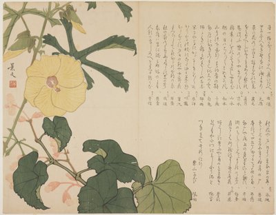 Yellow Flowering Shrub by John Thomas Barber Beaumont